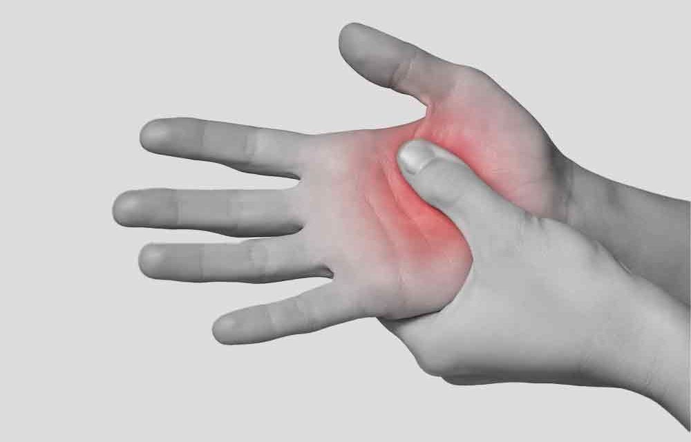 Tendon Transferleri | Sinir Yaralanmalarında Fonksiyonel Cerrahi Çözüm