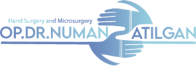 https://gazianteportopedi.com/wp-content/uploads/2025/07/logosite2.png
